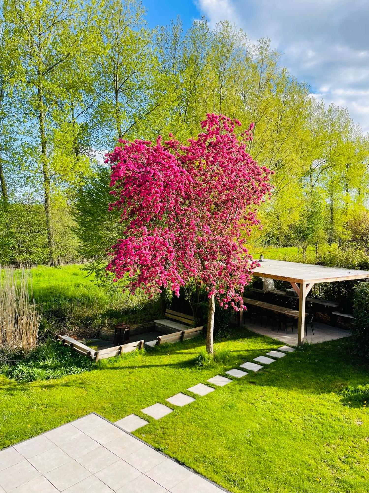 Villa Calma Rust Ruimte Luxe Inclusief Private Jacuzzi Zeewolde Eksteriør billede